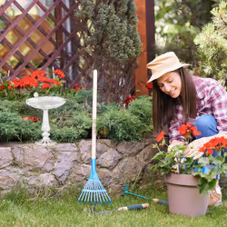 Bird Bath, Standing, Water Bowl, Frost-Proof, H x W x D: 24.5 x 22 x 18 cm, Cast-Iron, White