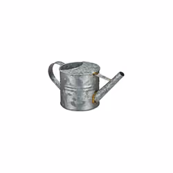 Can, Indoor Plants, Jug, Vintage Vessel, Flower Watering Pot, Metal, 1.3 L, Silver, Iron, 14 x 13 x 28.5 cm