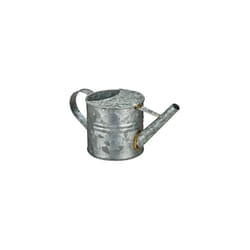 Can, Indoor Plants, Jug, Vintage Vessel, Flower Watering Pot, Metal, 1.3 L, Silver, Iron, 14 x 13 x 28.5 cm