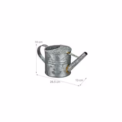 Can, Indoor Plants, Jug, Vintage Vessel, Flower Watering Pot, Metal, 1.3 L, Silver, Iron, 14 x 13 x 28.5 cm