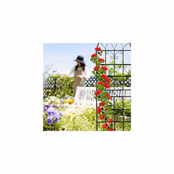 Metal Trellis, Set of 2, Climbing Plant Support, Free-Standing, Vintage Style, 180x50 cm, Garden Panels, Black