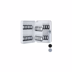 Relaxdays Metal Cabinet, Lockable, 48 Hooks with Key Tags, HWD 25x18x7.5 cm, White, One Size