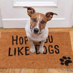 Relaxdays Coir Doormat with Animal Theme