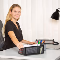 Relaxdays 5-Compartment Metal Desk Organizer
