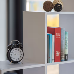 Relaxdays Dictionary Book Safe with Keys