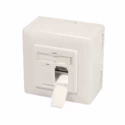 LogiLink NP0006A socket-outlet 2 x RJ-45 White