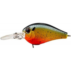 Daiwa Evergreen Piccolo Crankbait