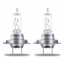 Osram 4052899992634, 55 V, 1 pc(s)