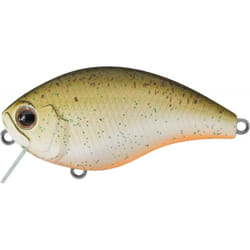 Daiwa  Daiwa  Evergreen Ch Crankbait 1 Foot Root Beer