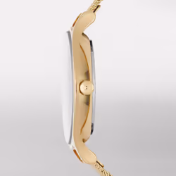 Skagen SKW2150P Wrist watch Female Gold