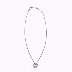 Skagen SKJ0833040 necklace Female Stainless steel