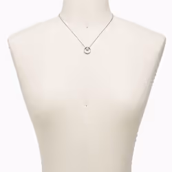 Skagen SKJ0833040 necklace Female Stainless steel