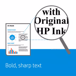 HP 62 Black Original Ink Cartridge (C2P04AE) Page yield: 200 per cartridge