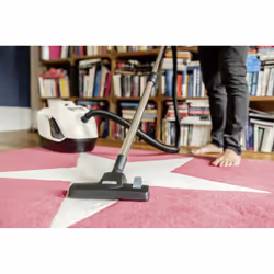 Kärcher DS 6 Plus 2 L Cylinder vacuum Dry 650 W Bagless