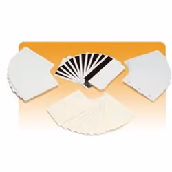 Zebra Premier PVC Card, 15 mil, 1000 pc(s)