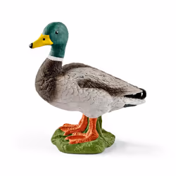 schleich FARM WORLD Drake, 3 yr(s), Multicolour, Plastic