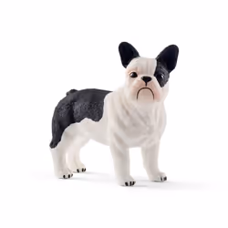 schleich FARM WORLD French bulldog, 3 yr(s), Multicolour, Plastic, 1 pc(s)