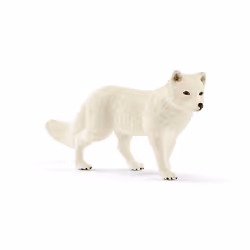 schleich WILD LIFE Arctic fox, 3 yr(s), Multicolour, Plastic, 1 pc(s)