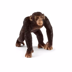 schleich WILD LIFE Chimpanzee, male, 3 yr(s), Africa, Multicolour, Plastic, 1 pc(s)