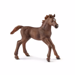 schleich WILD LIFE English thoroughbred foal, Multicolour, 1 pc(s)