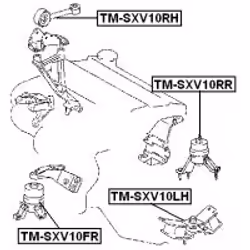 FEBEST TM-SXV10RR not categorized