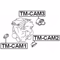 FEBEST TM-CAM3 not categorized