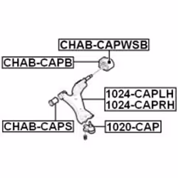 FEBEST 1024-CAPLH not categorized