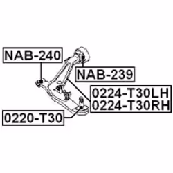FEBEST 0224-T30LH