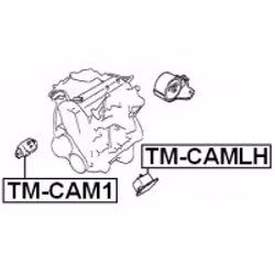 FEBEST TM-CAMLH not categorized