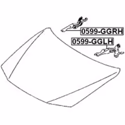 FEBEST 0599-GGLH not categorized