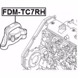 FEBEST FDM-TC7RH not categorized