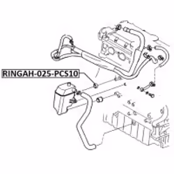 FEBEST RINGAH-025-PCS10 not categorized