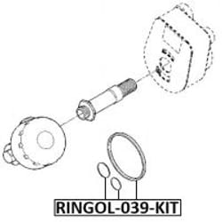 FEBEST RINGOL-039-KIT not categorized
