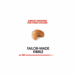 Royal Canin Dog Food Cocker Spaniel Dry Mix 3kg
