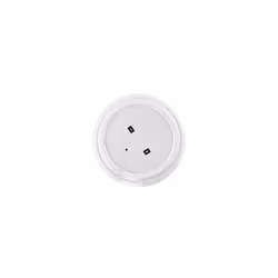 Wall and Ceiling Light | Surface Circular 400 mm, Energy Saving, 24 W, Cold White | SF CIRC 400 24 W 840 IP44 [Energy Class G]