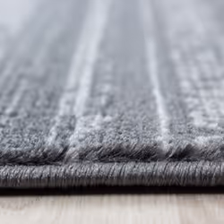 Ayyildiz Hali PLUS803008000GREY area rug Carpet Rectangle Polypropylene (PP) Grey