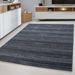 Ayyildiz Hali PLUS2002908000GREY area rug Carpet Rectangle Polypropylene (PP) Grey