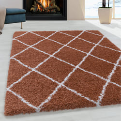 Ayyildiz Hali ALVOR1201703401TERRA area rug Carpet Rectangle Polypropylene (PP) Terracotta