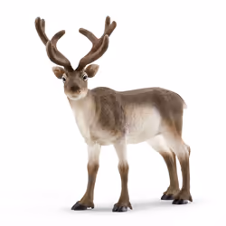 schleich WILD LIFE Reindeer, 3 yr(s), Multicolour, Plastic, 1 pc(s)