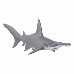 schleich WILD LIFE Hammerhead Shark, 3 yr(s), Multicolour, Plastic, 1 pc(s)