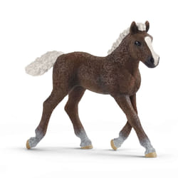 schleich FARM WORLD Black Forest Foal