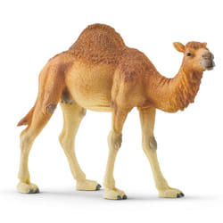 schleich WILD LIFE Dromedary