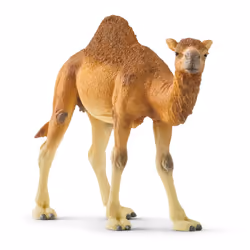 schleich WILD LIFE Dromedary