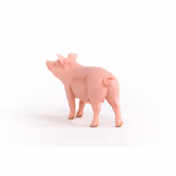 schleich FARM WORLD Pig - Additional view 4