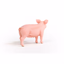 schleich FARM WORLD Pig - Additional view 5