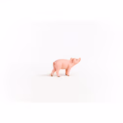 schleich FARM WORLD Piglet - Additional view 4
