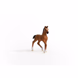 schleich HORSE CLUB Oldenburger Foal - Additional view 5