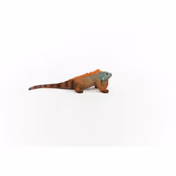 schleich WILD LIFE Iguana - Additional view 6