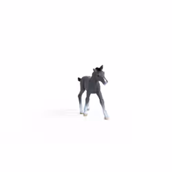 schleich HORSE CLUB Trakehner Foal - Additional view 4
