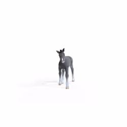 schleich HORSE CLUB Trakehner Foal - Additional view 5